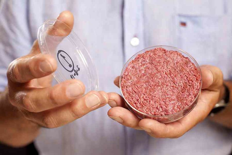 Mark Post’s original stem cell burger, via David Parry / PA Wire